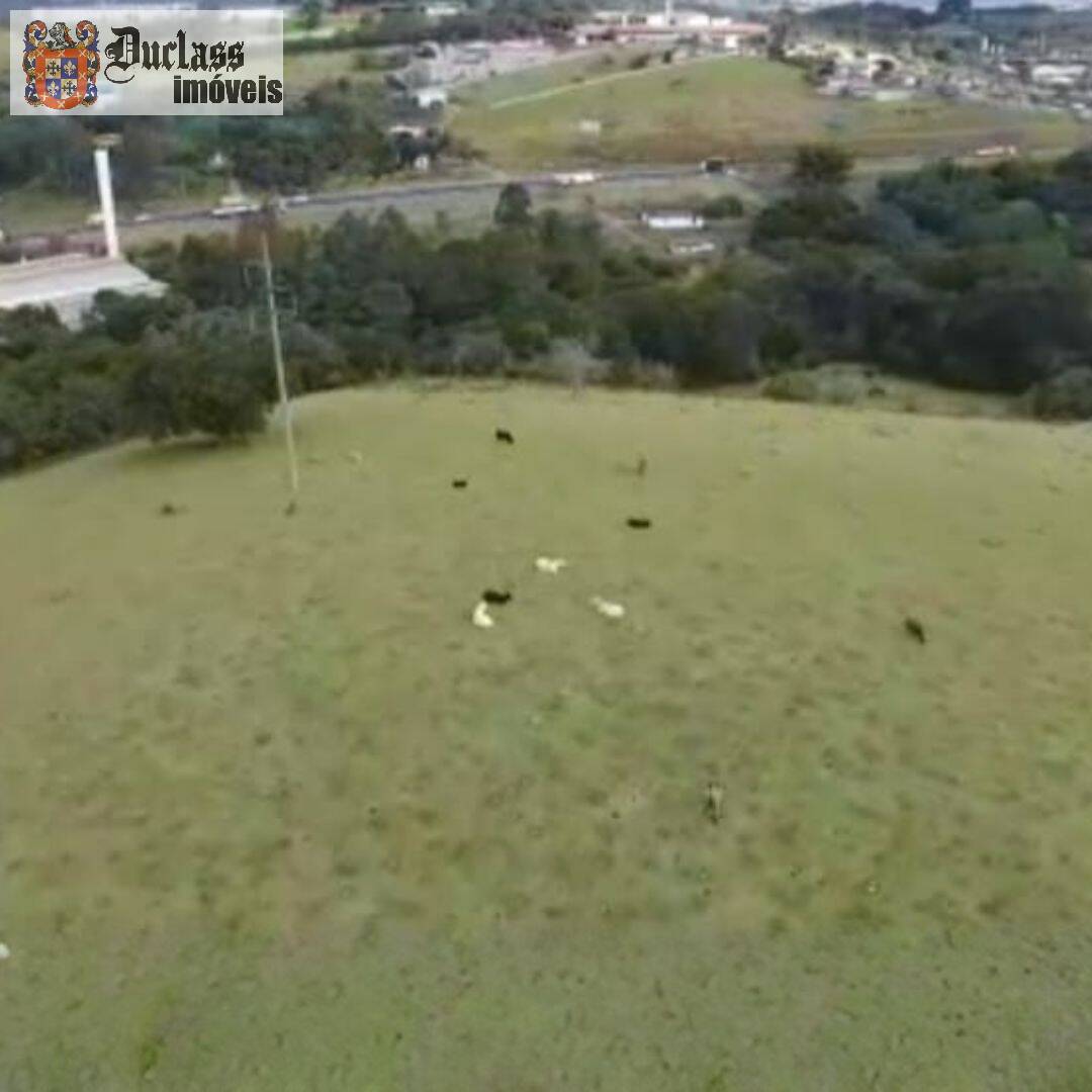 Terreno, 2 hectares - Foto 2