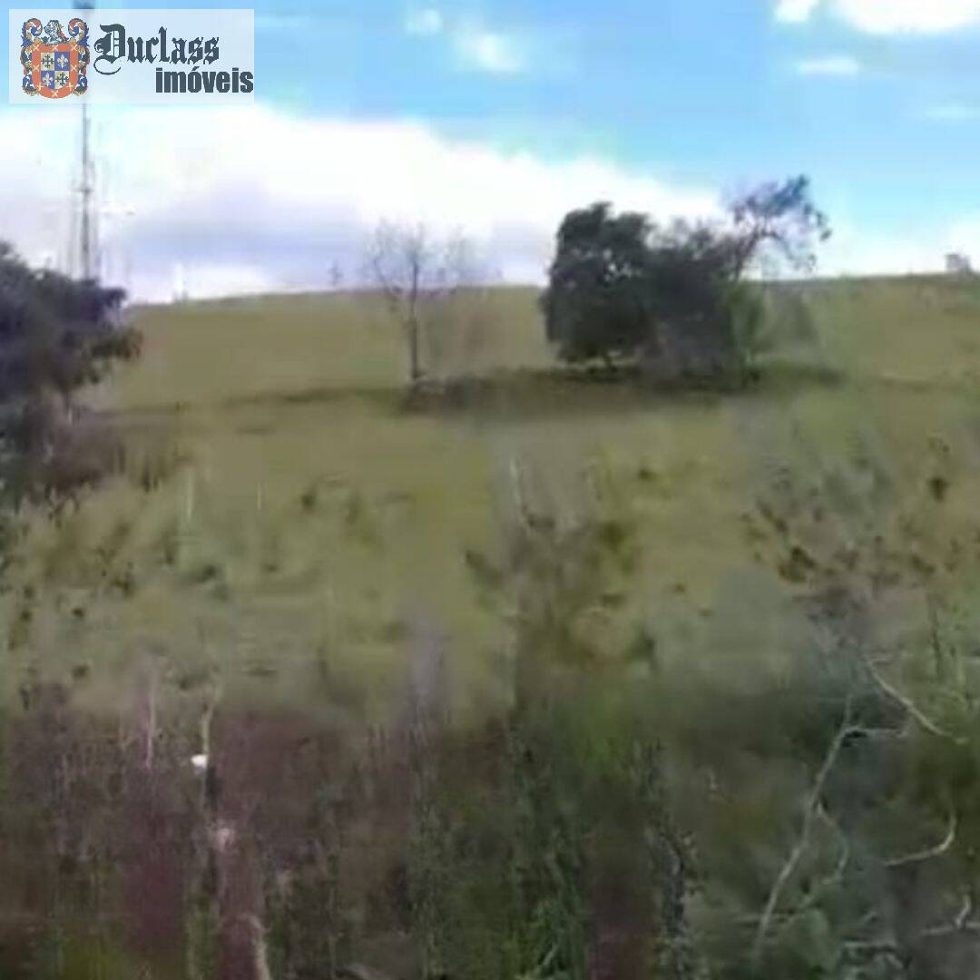 Terreno, 2 hectares - Foto 3