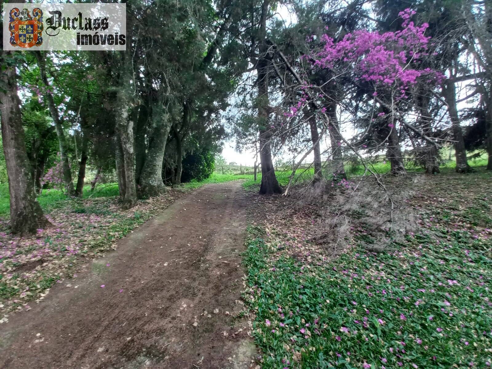 Terreno, 2 hectares - Foto 1