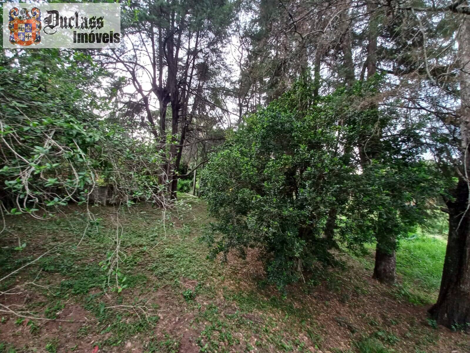 Terreno, 2 hectares - Foto 10