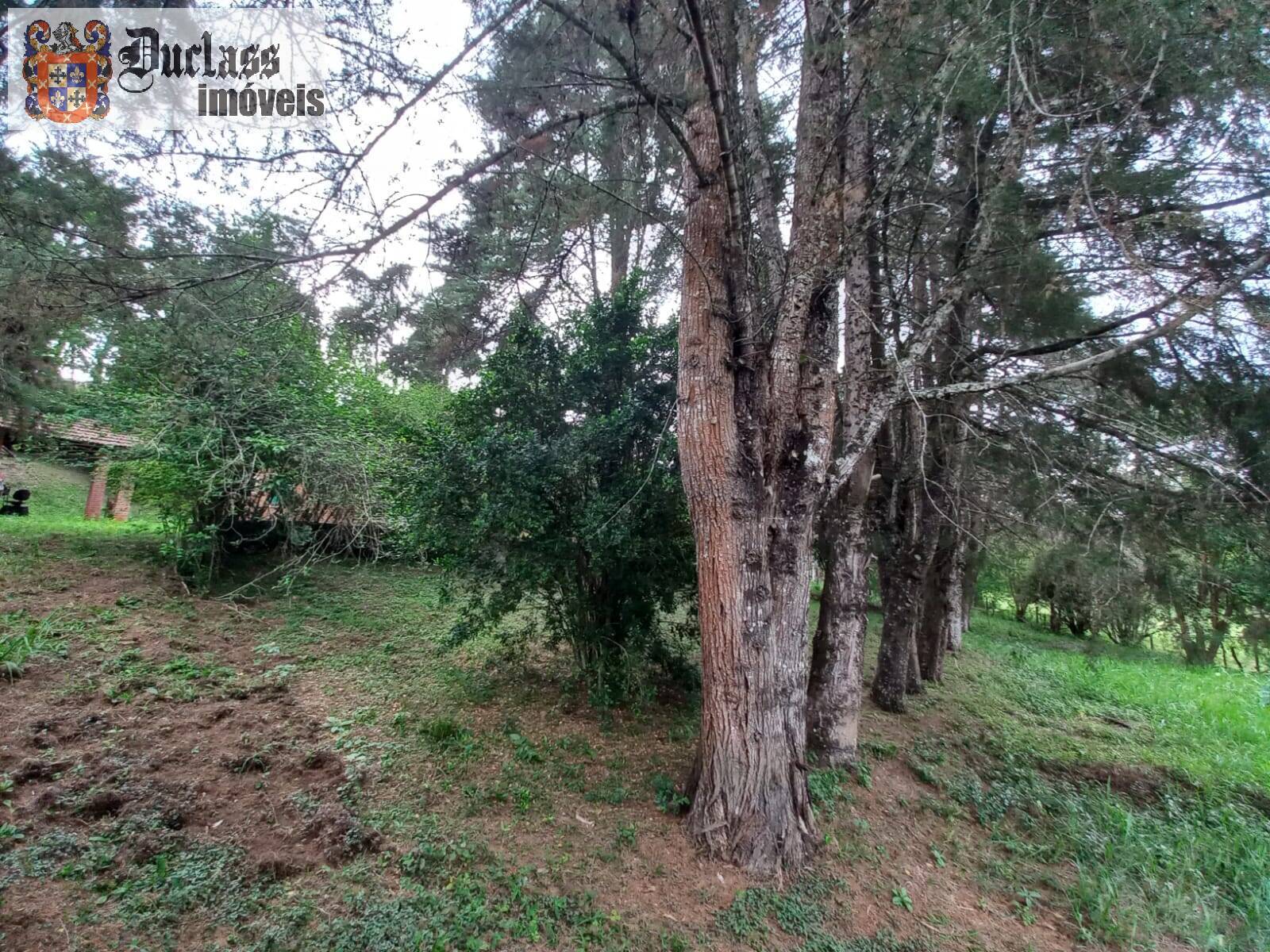 Terreno, 2 hectares - Foto 12