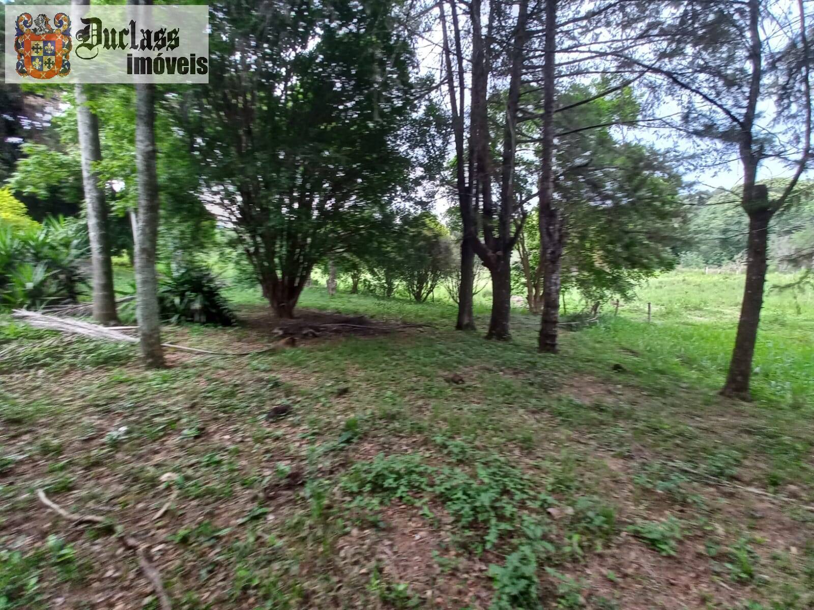 Terreno, 2 hectares - Foto 14