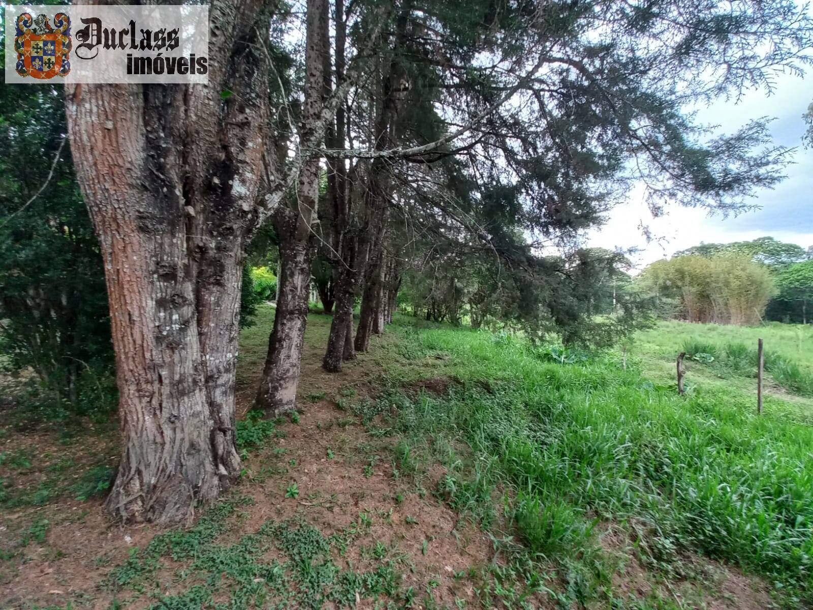 Terreno, 2 hectares - Foto 15