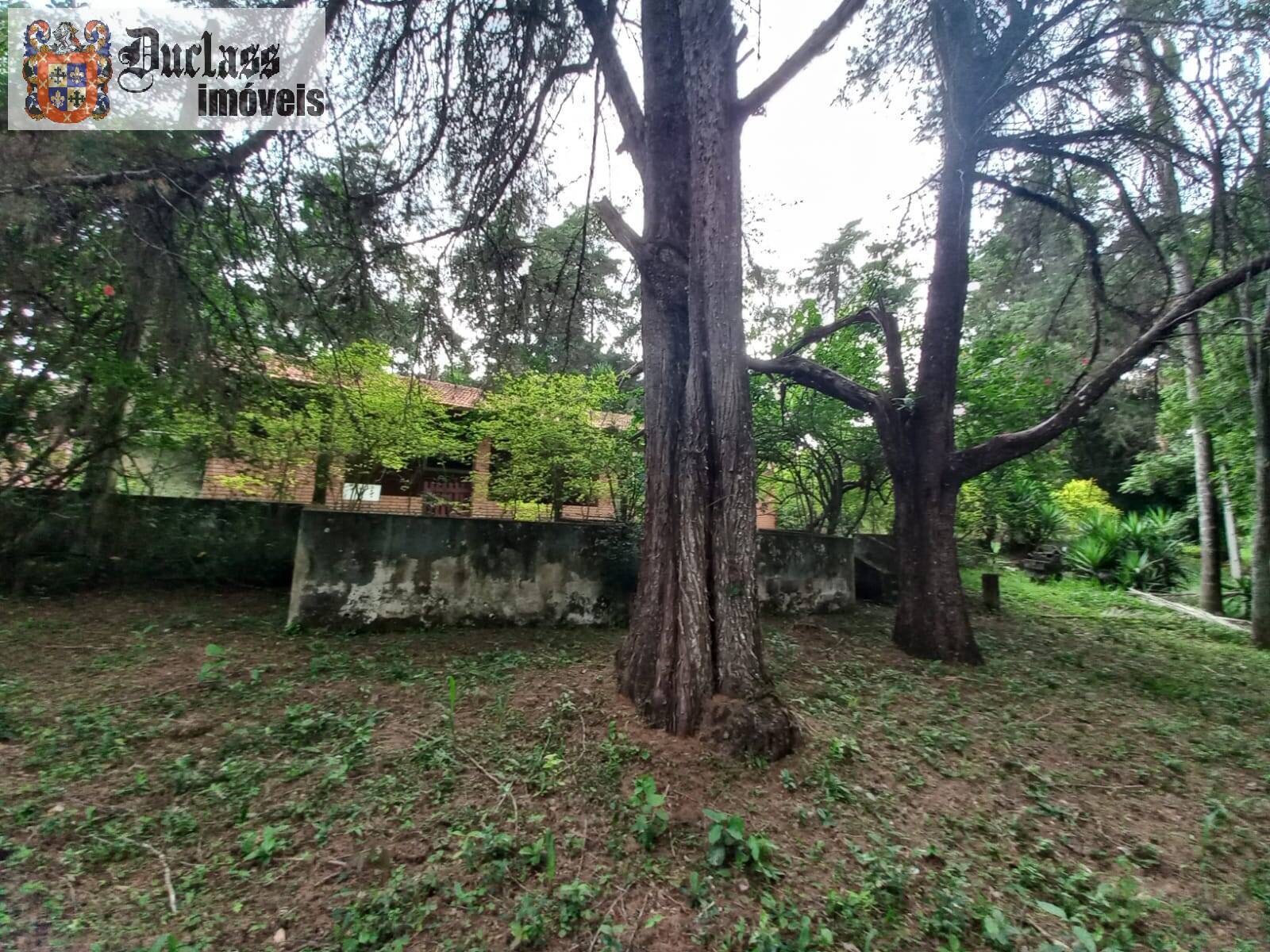 Terreno, 2 hectares - Foto 16
