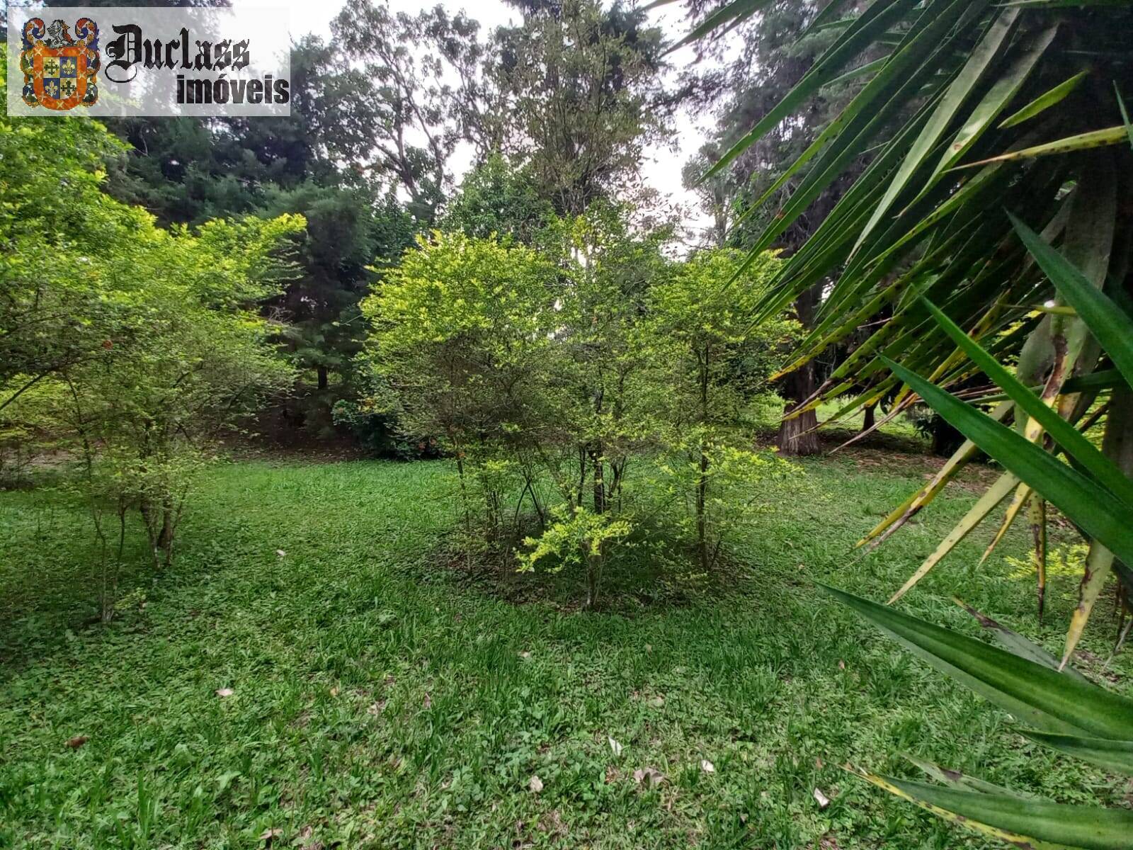 Terreno, 2 hectares - Foto 19