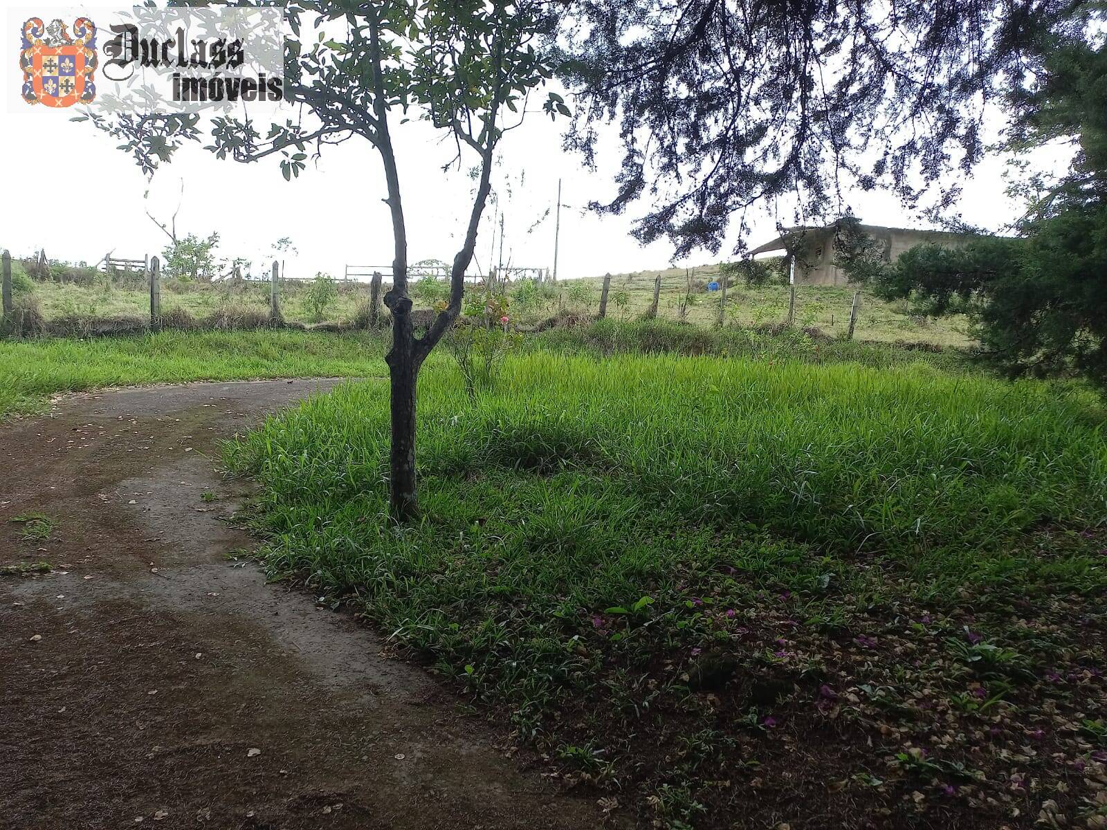 Terreno, 2 hectares - Foto 29