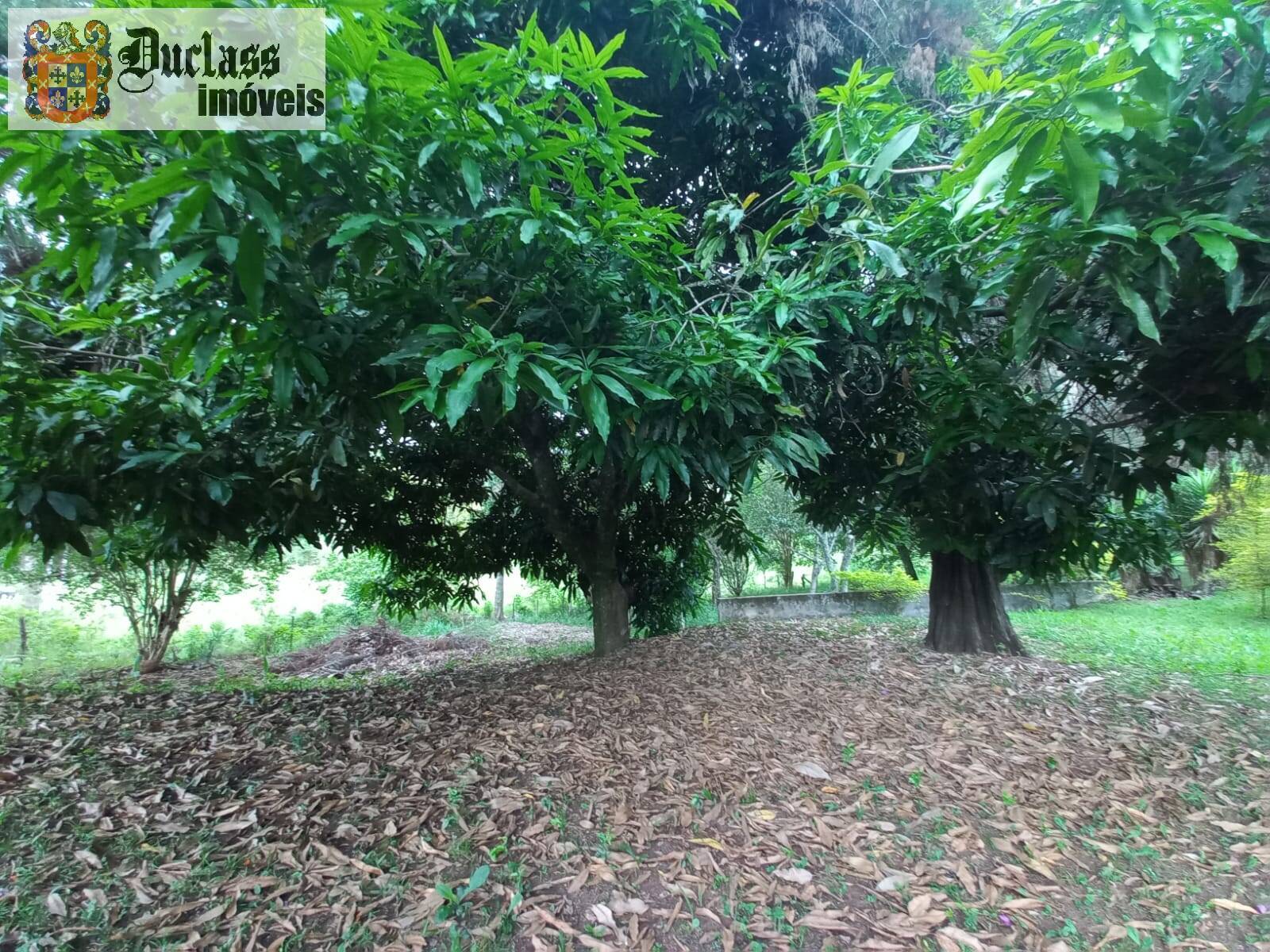 Terreno, 2 hectares - Foto 31