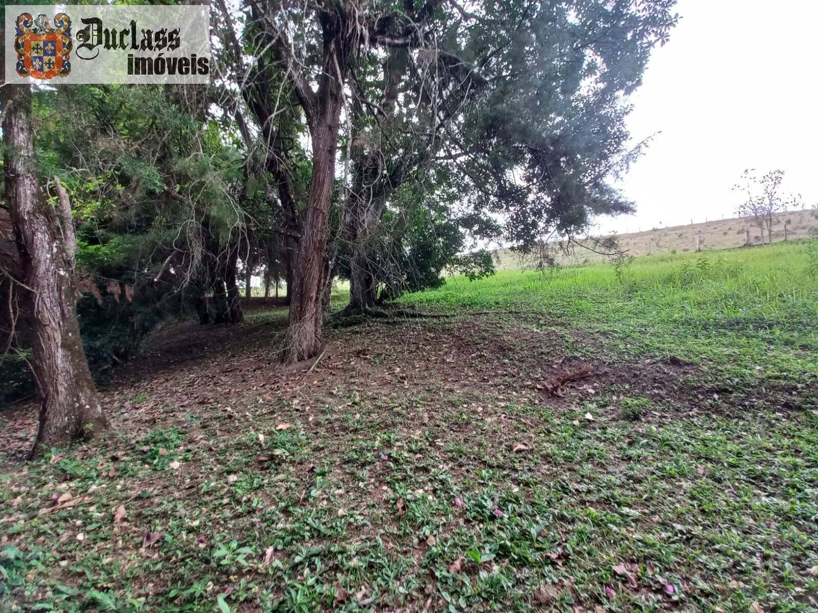 Terreno, 2 hectares - Foto 33