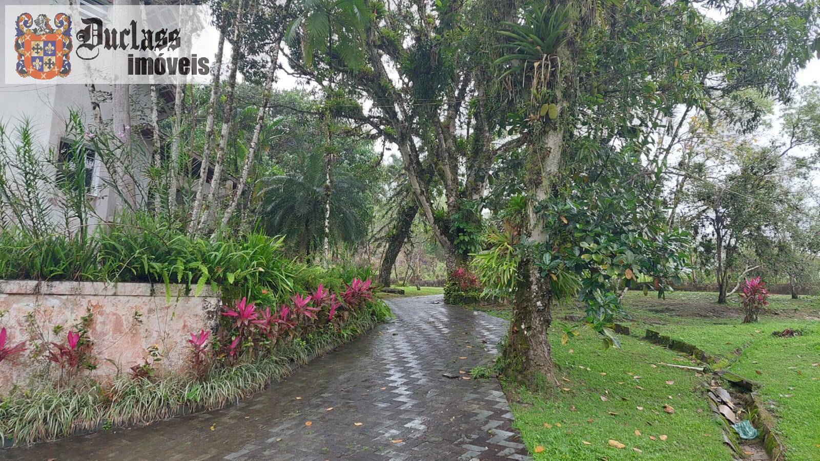Sítio à venda com 6 quartos, 400m² - Foto 4