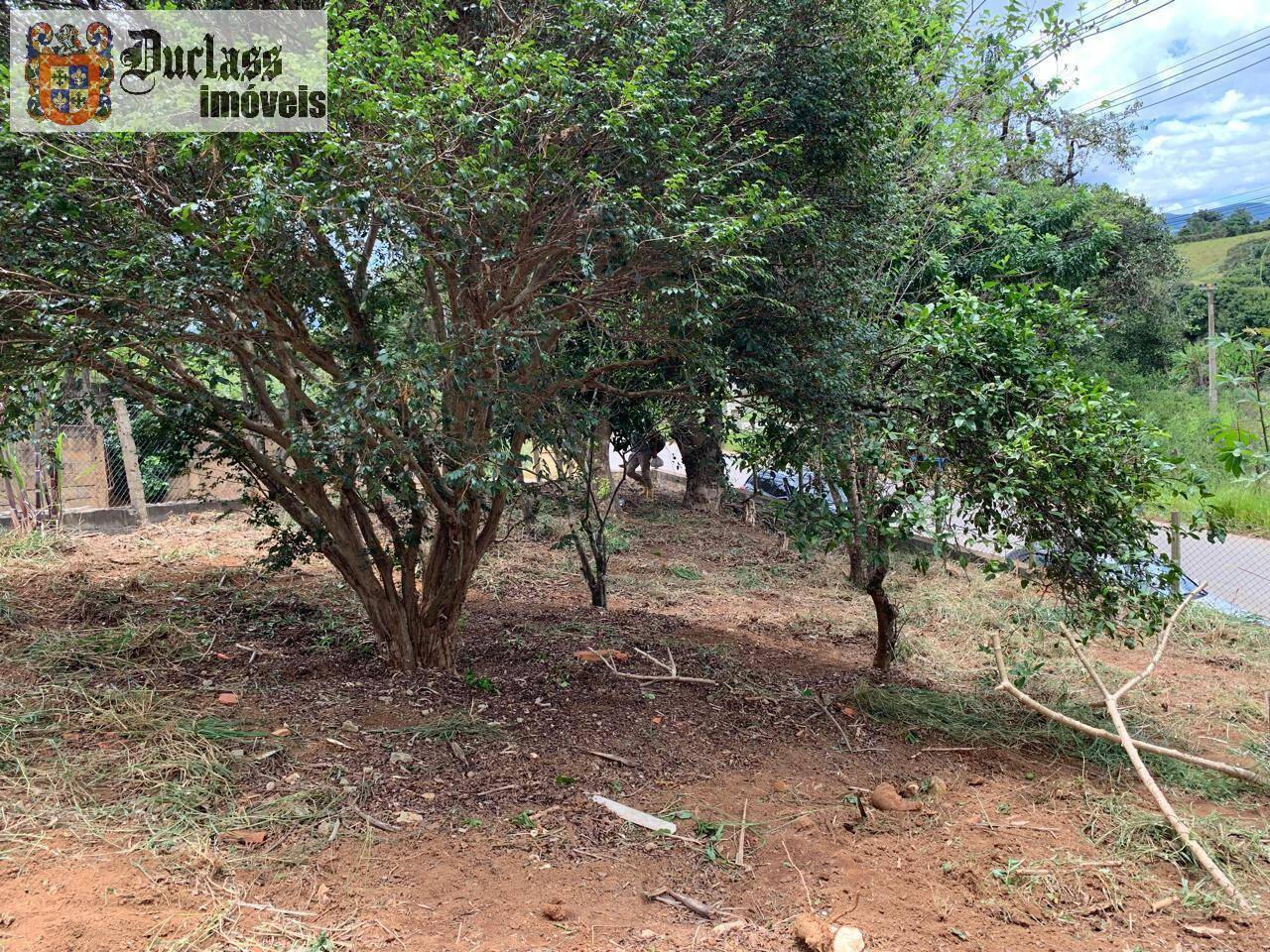 Casa à venda com 2 quartos, 700m² - Foto 12