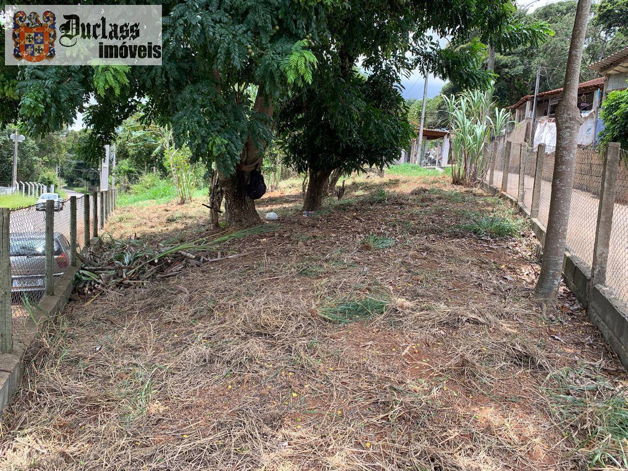 Casa à venda com 2 quartos, 700m² - Foto 13