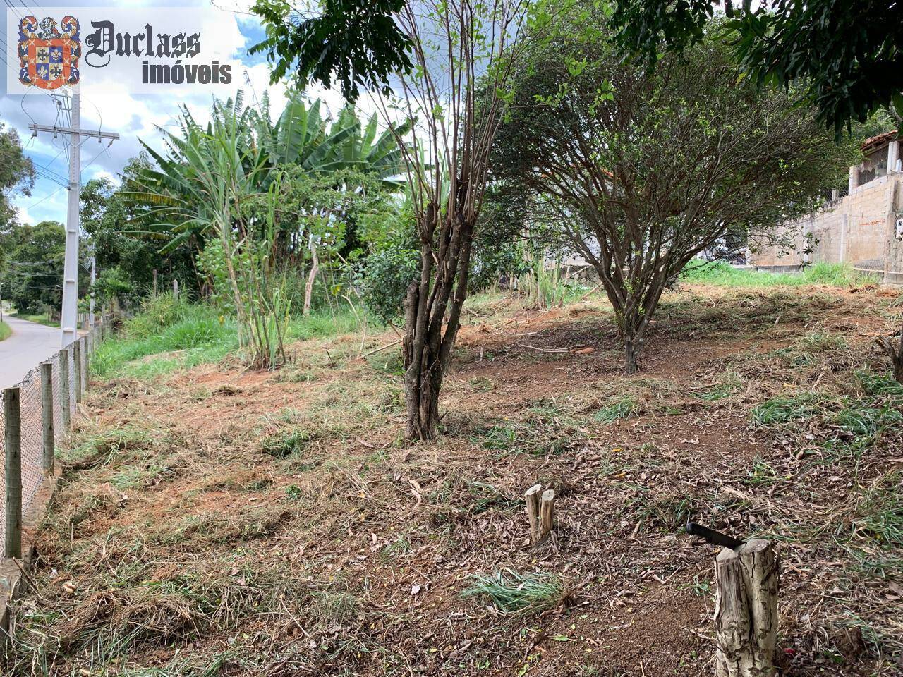 Casa à venda com 2 quartos, 700m² - Foto 14