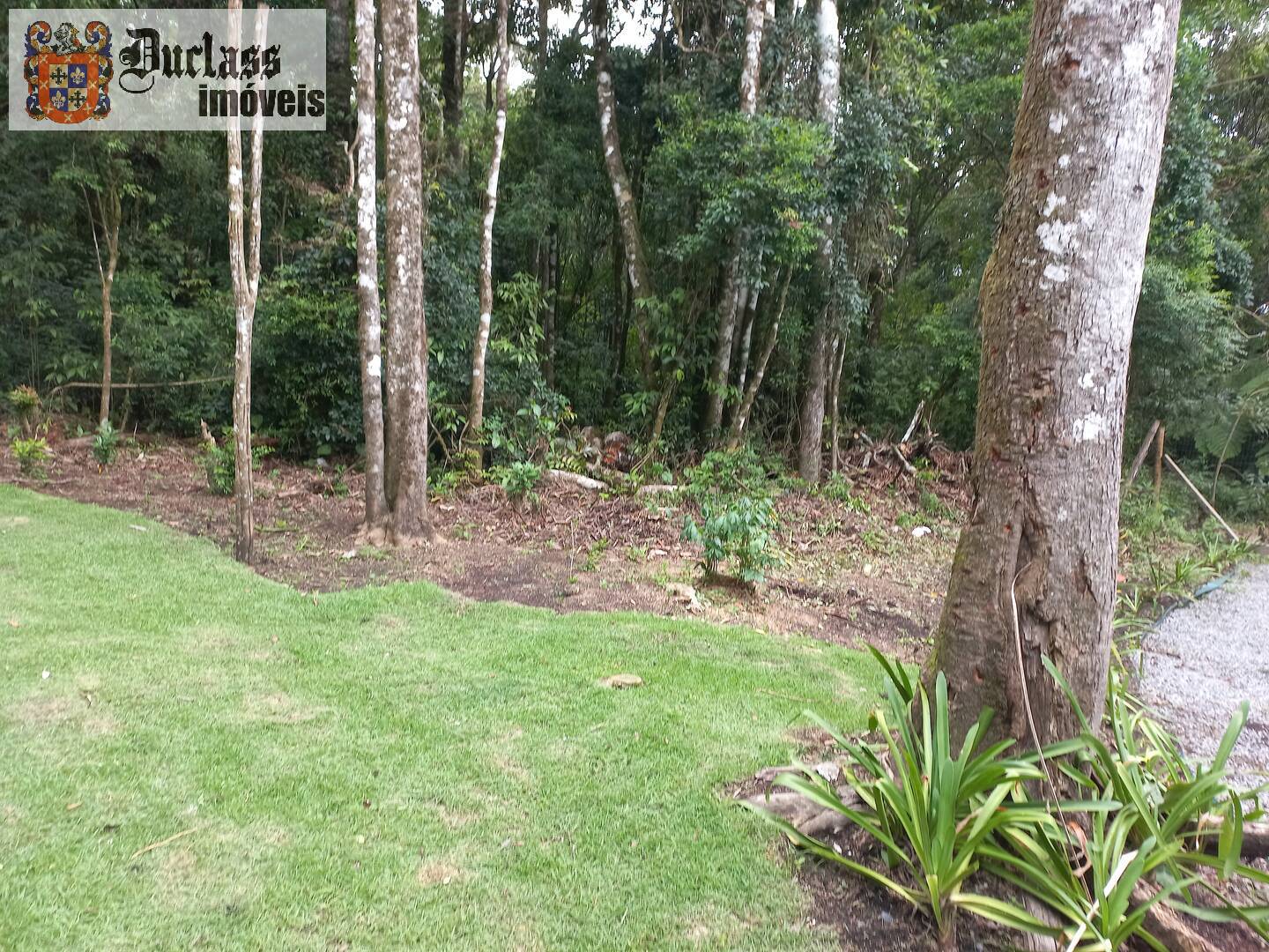 Chácara, 3 quartos, 3776 m² - Foto 12