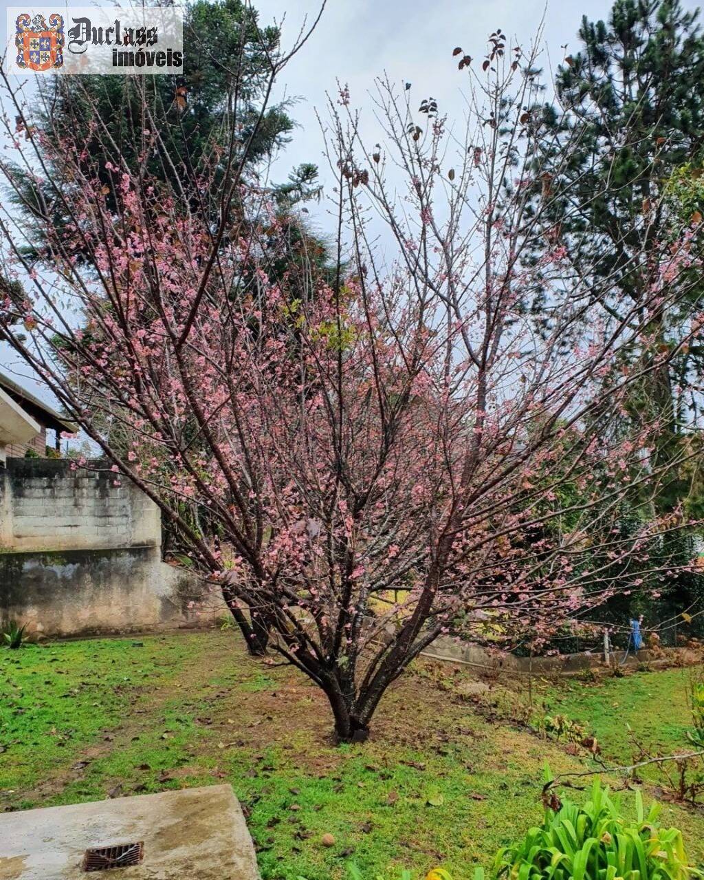 Casa, 3 quartos, 235 m² - Foto 13