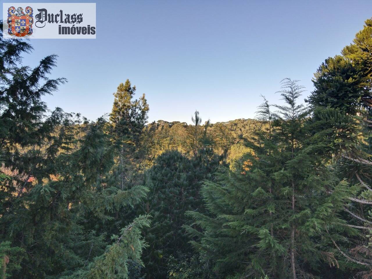 Casa, 3 quartos, 280 m² - Foto 27