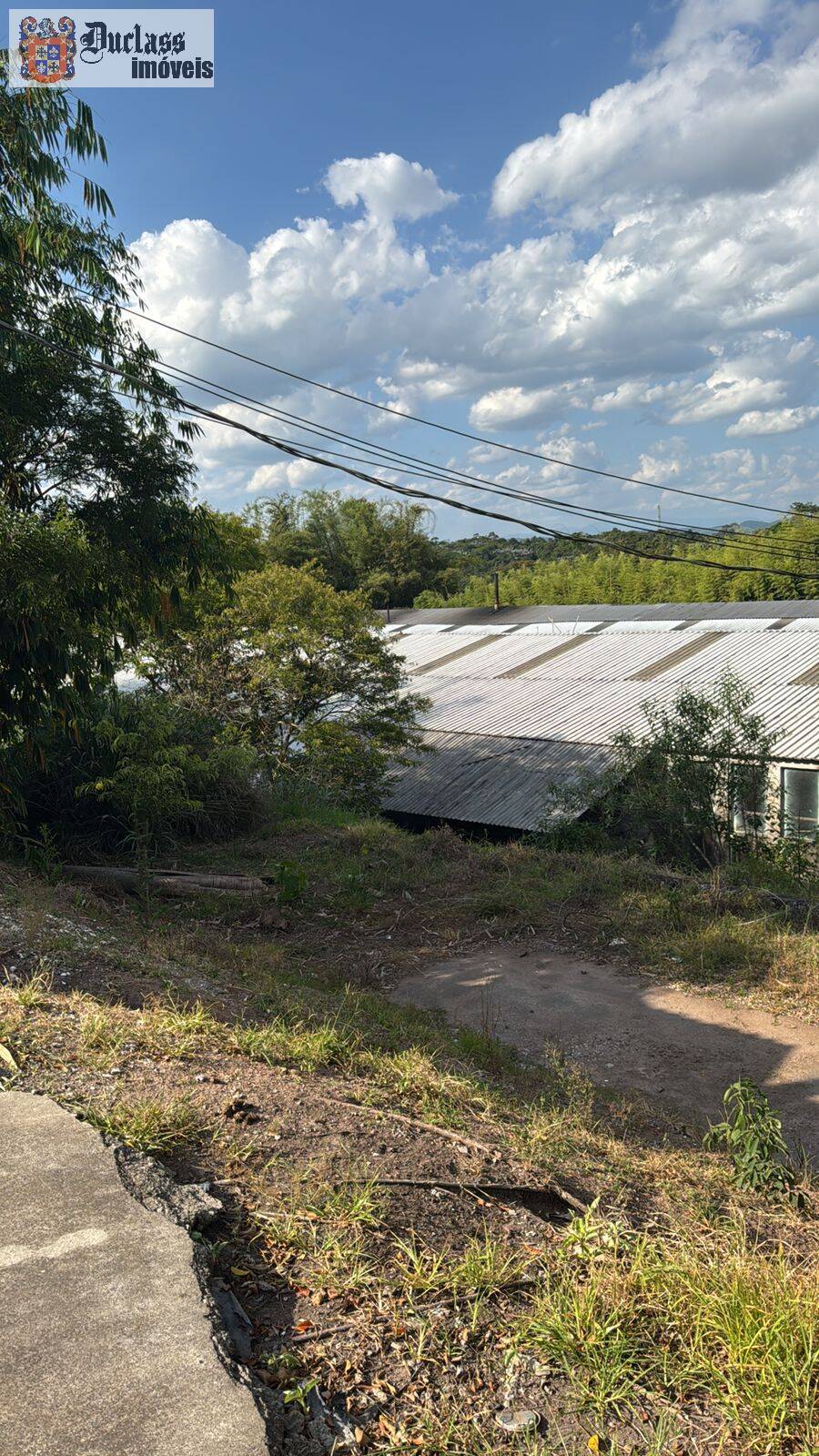 Depósito-Galpão, 5800 m² - Foto 2