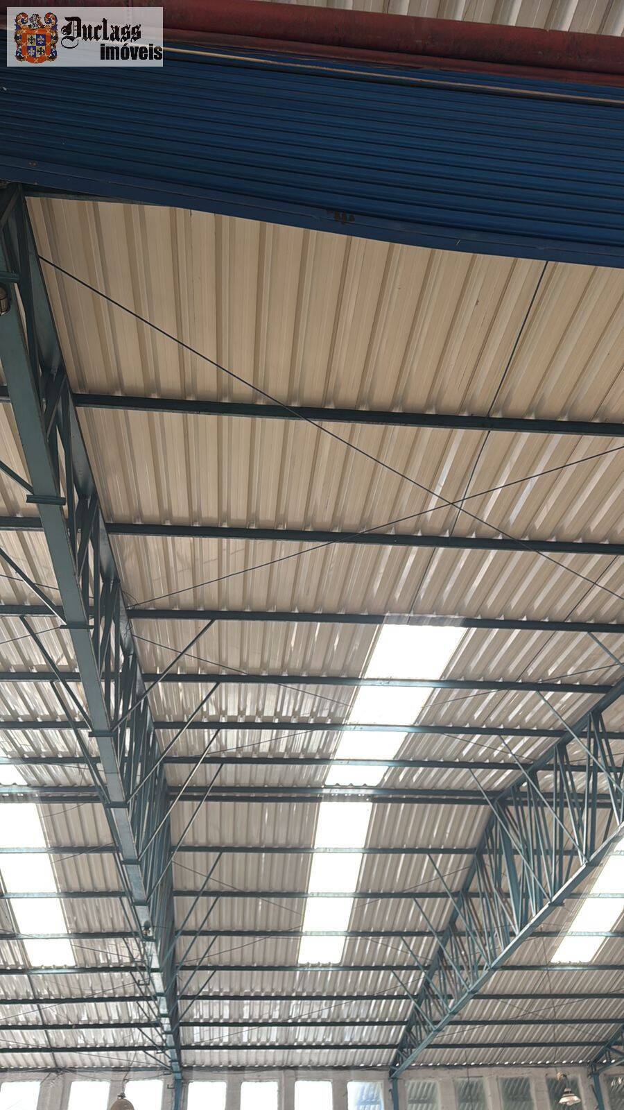 Depósito-Galpão, 5800 m² - Foto 4