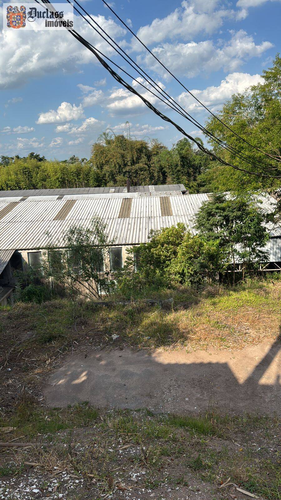 Depósito-Galpão, 5800 m² - Foto 9