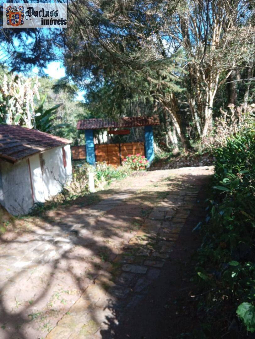 Sítio à venda com 4 quartos, 234m² - Foto 47