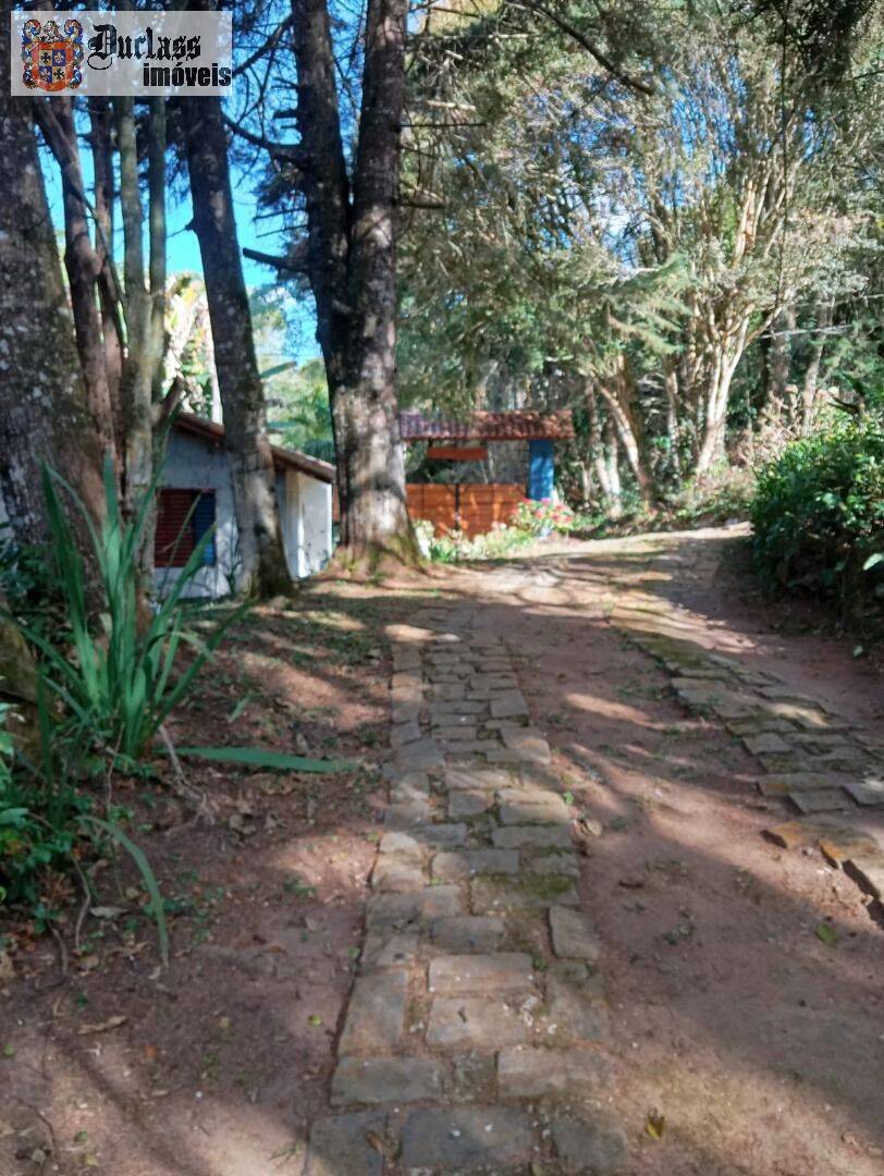 Sítio à venda com 4 quartos, 234m² - Foto 58