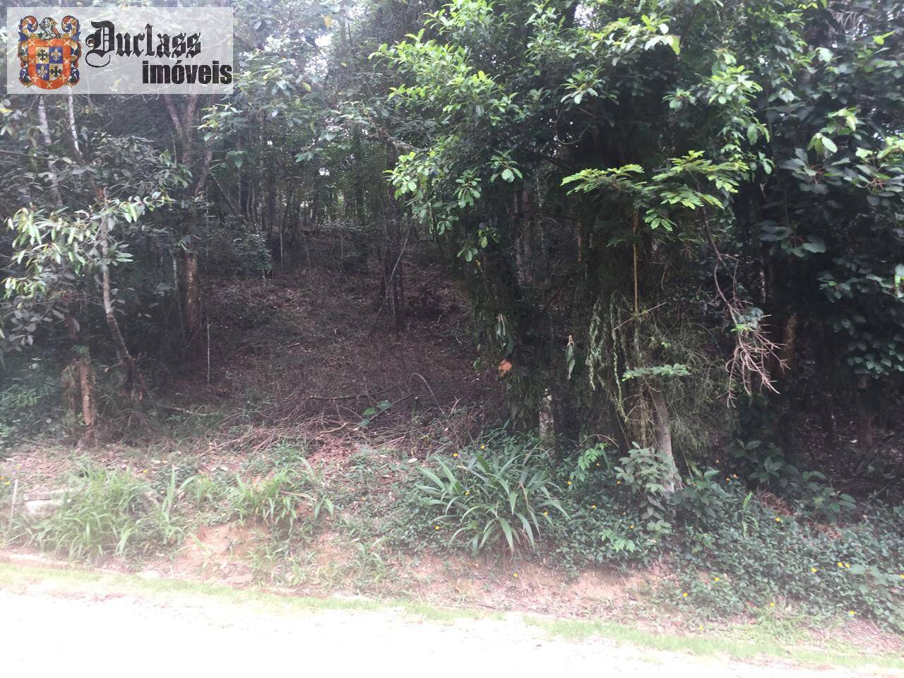 Terreno à venda, 2000m² - Foto 6