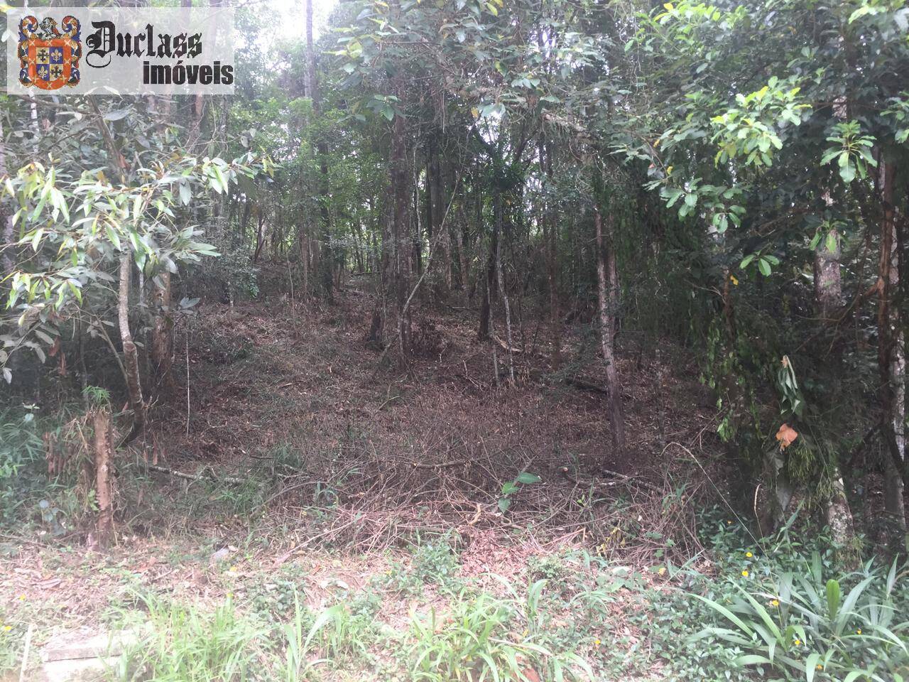 Terreno à venda, 2000m² - Foto 4