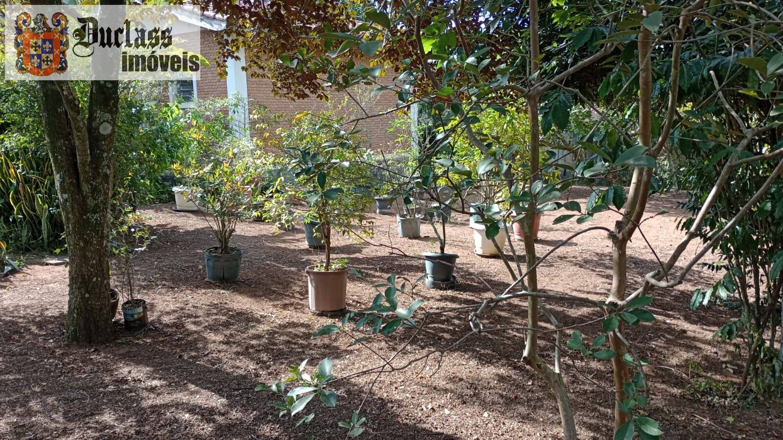 Casa, 4 quartos, 412 m² - Foto 9