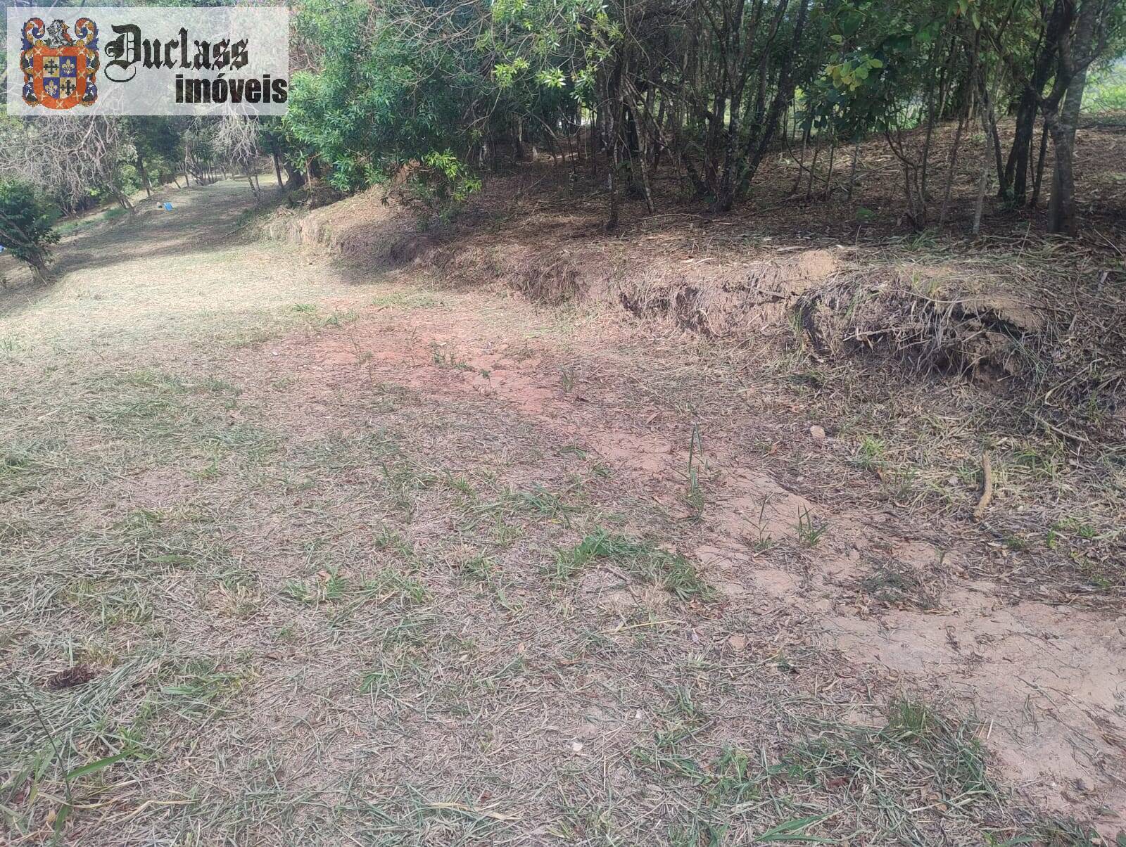 Terreno, 2 hectares - Foto 4