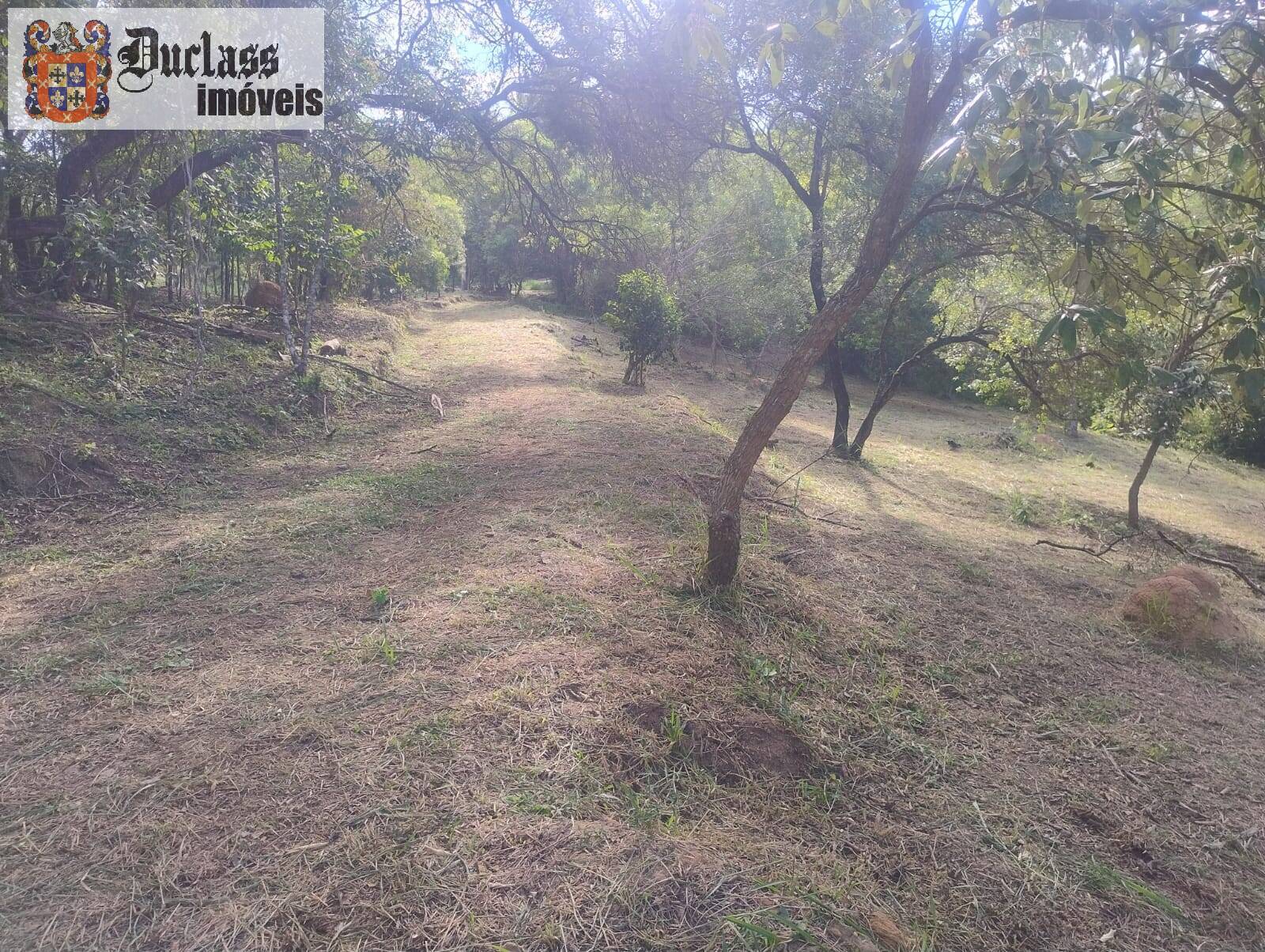 Terreno, 2 hectares - Foto 6