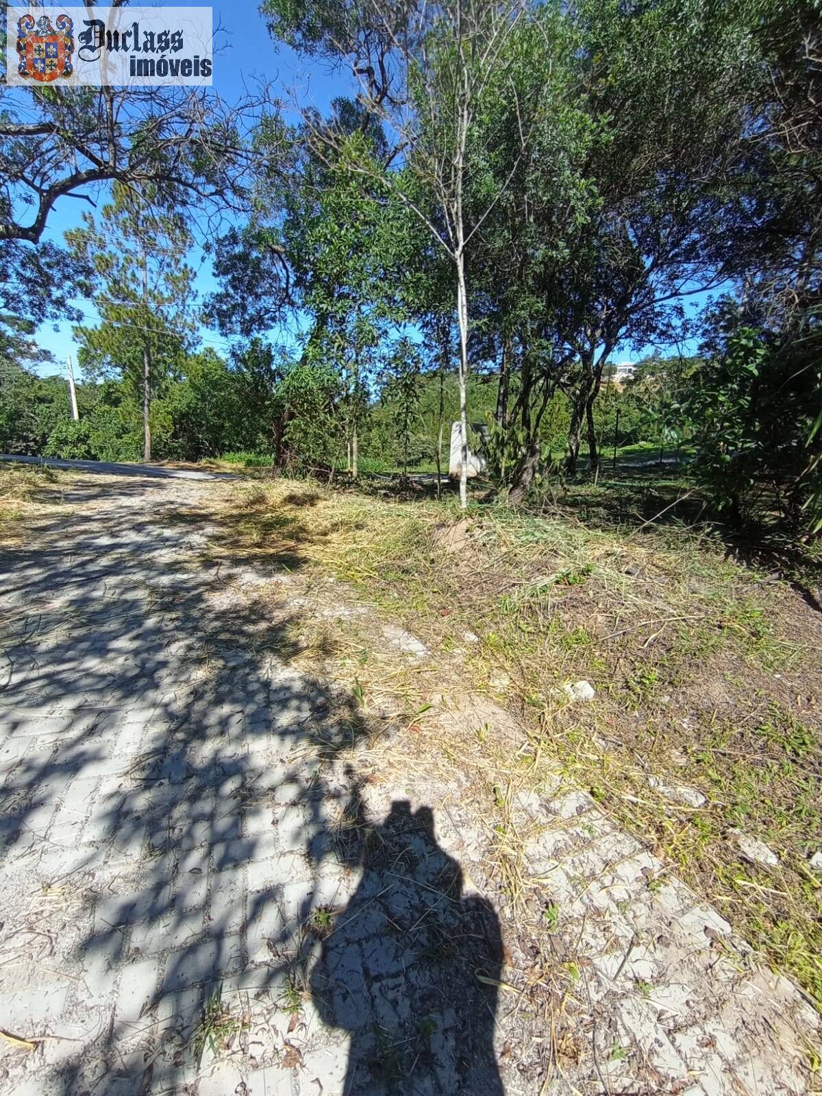 Terreno, 2 hectares - Foto 7