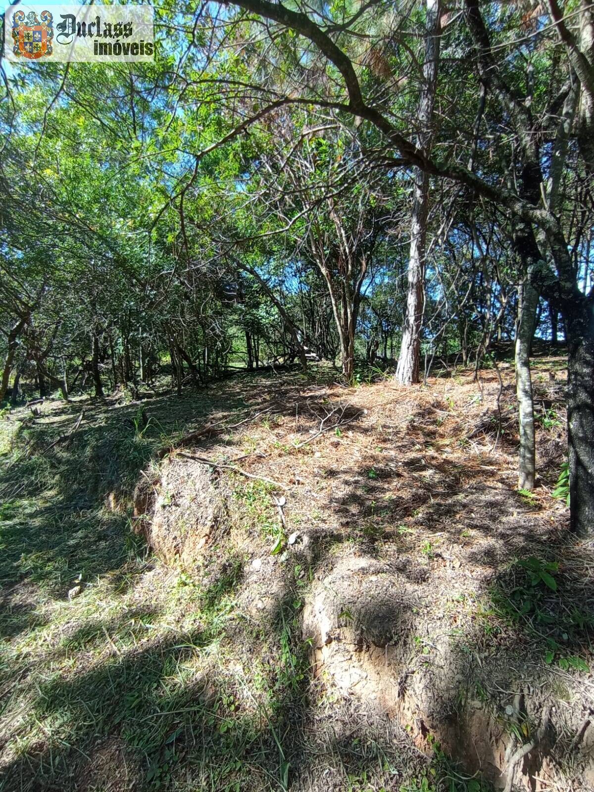 Terreno, 2 hectares - Foto 10