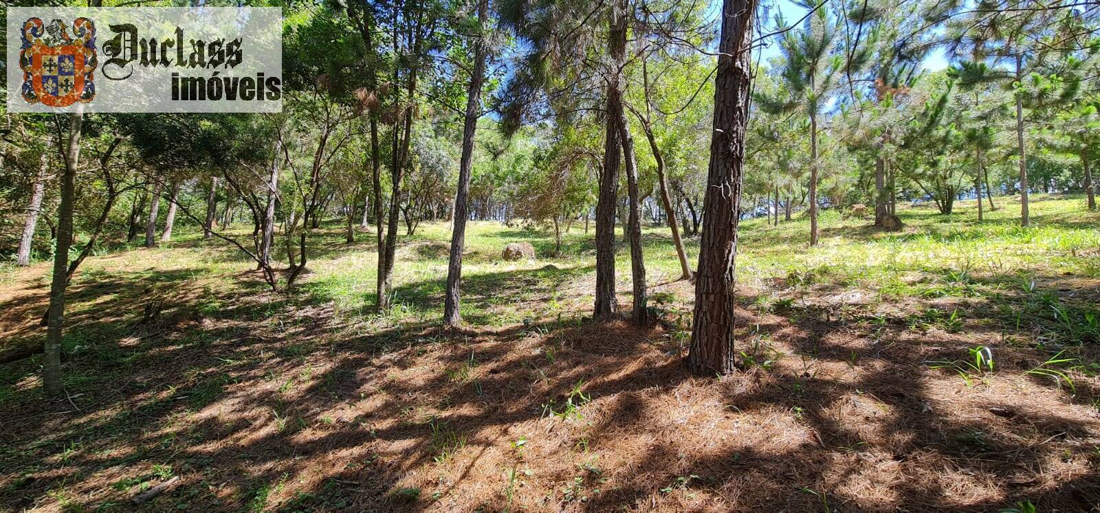 Terreno, 2 hectares - Foto 11