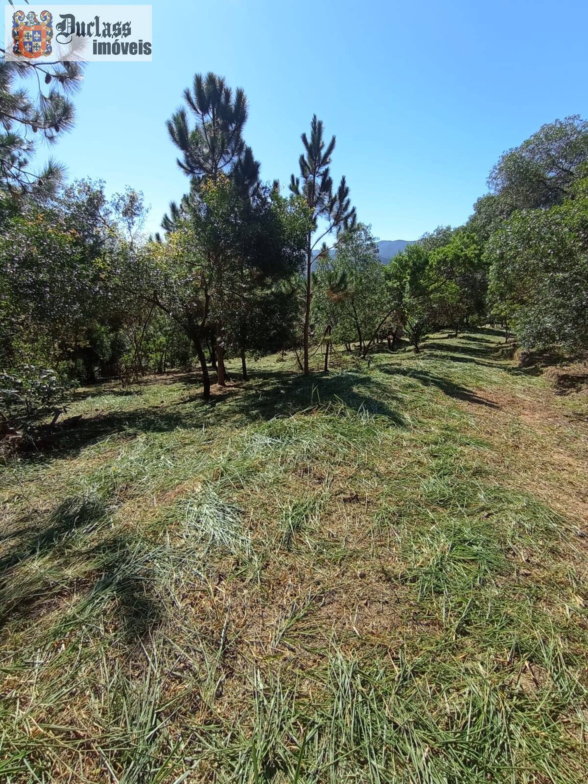 Terreno, 2 hectares - Foto 13