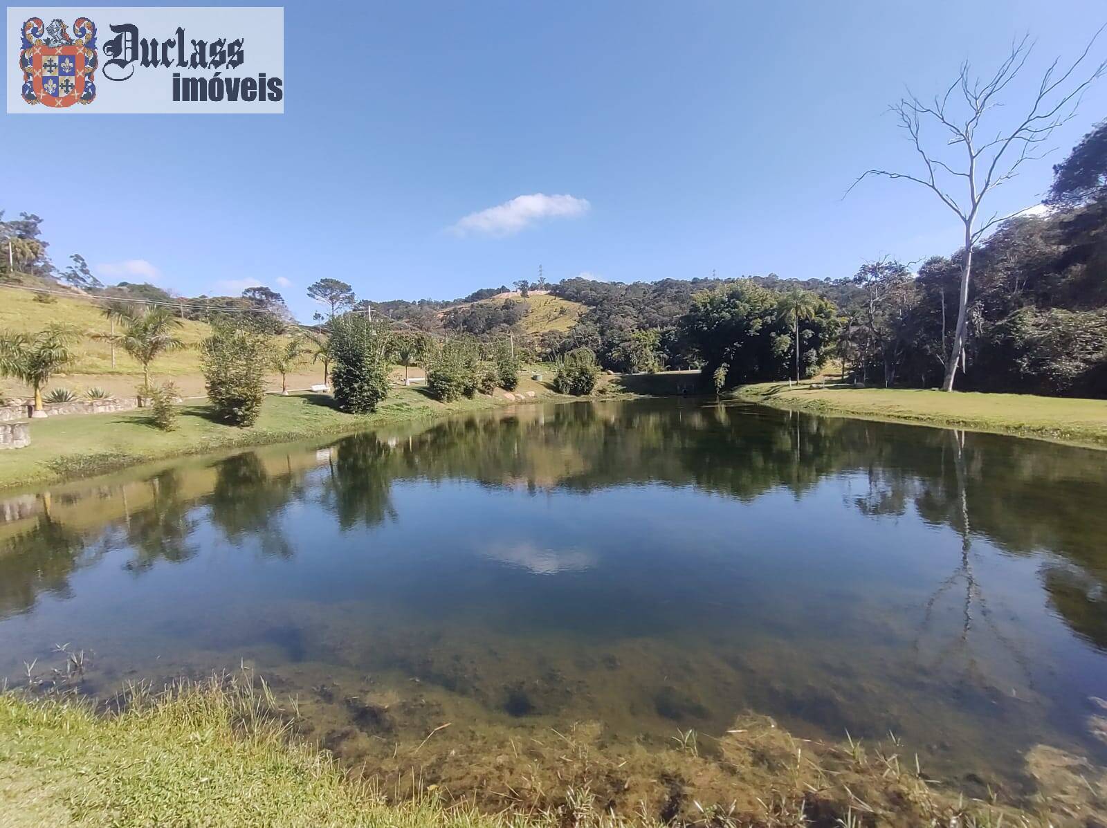 Terreno, 2 hectares - Foto 12