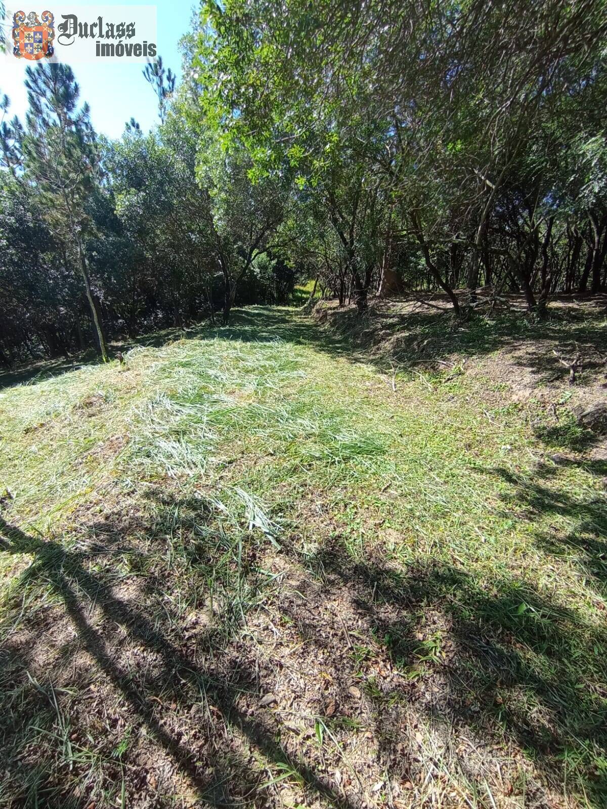 Terreno, 2 hectares - Foto 14