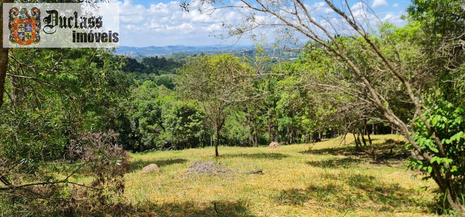 Terreno, 2 hectares - Foto 16