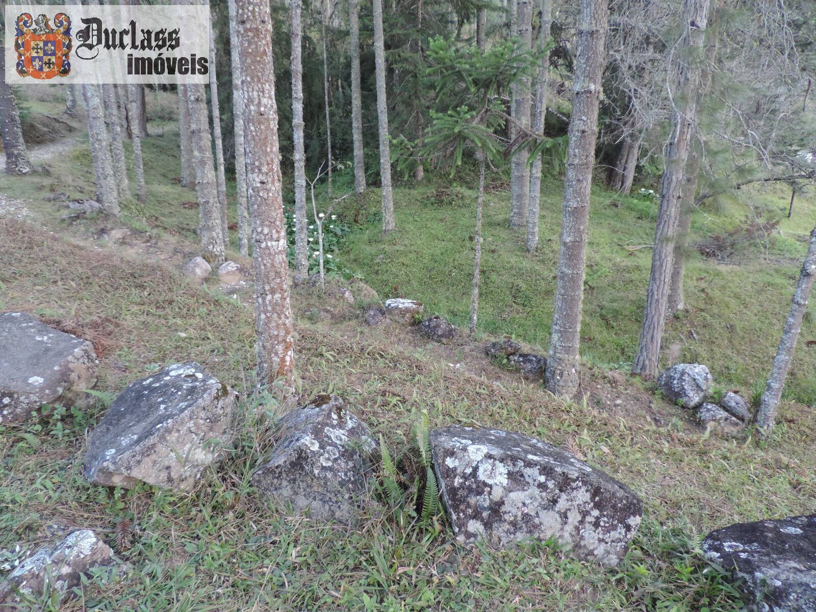 Sítio, 2 quartos, 100 m² - Foto 2