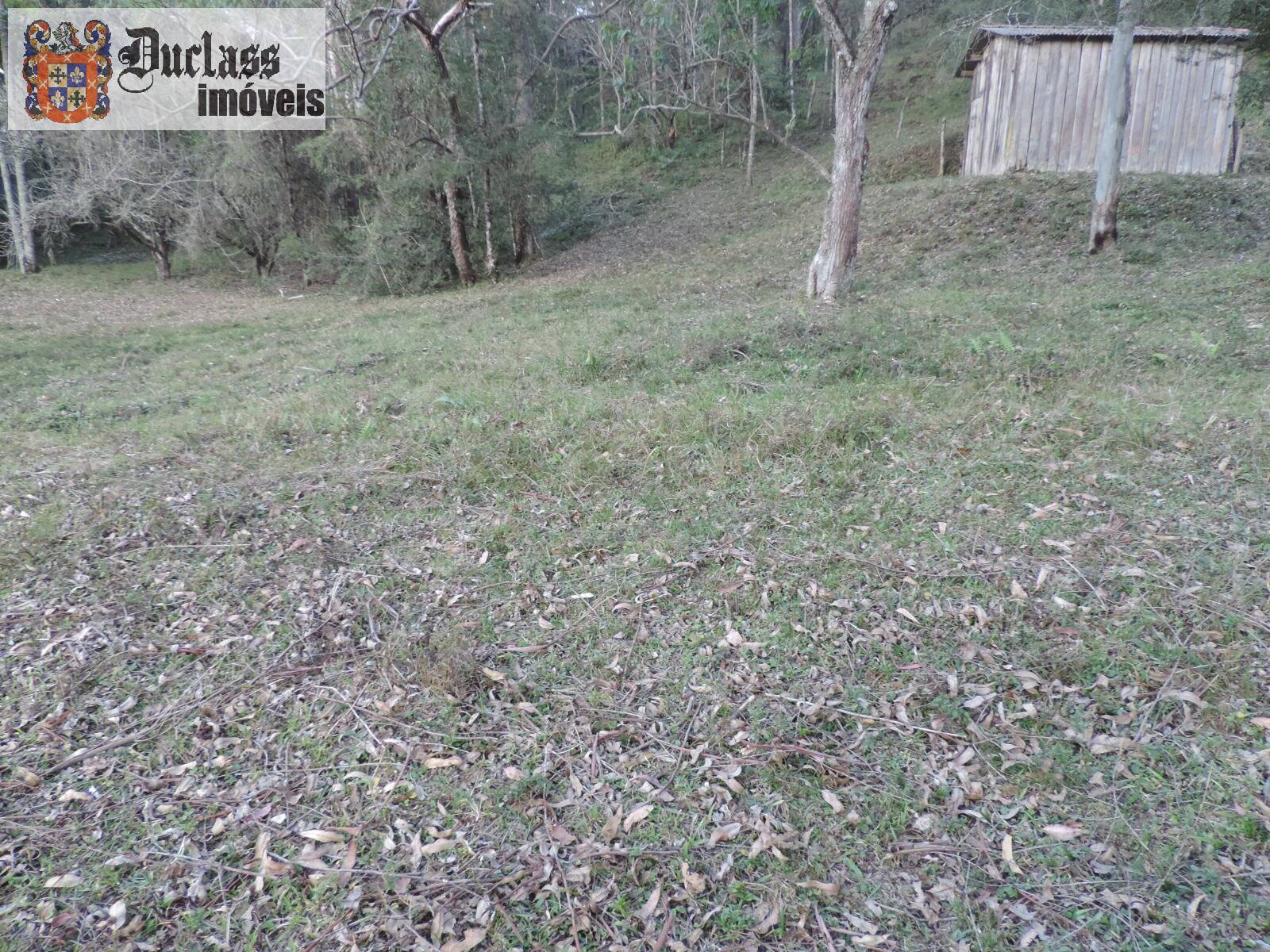 Sítio, 2 quartos, 100 m² - Foto 6