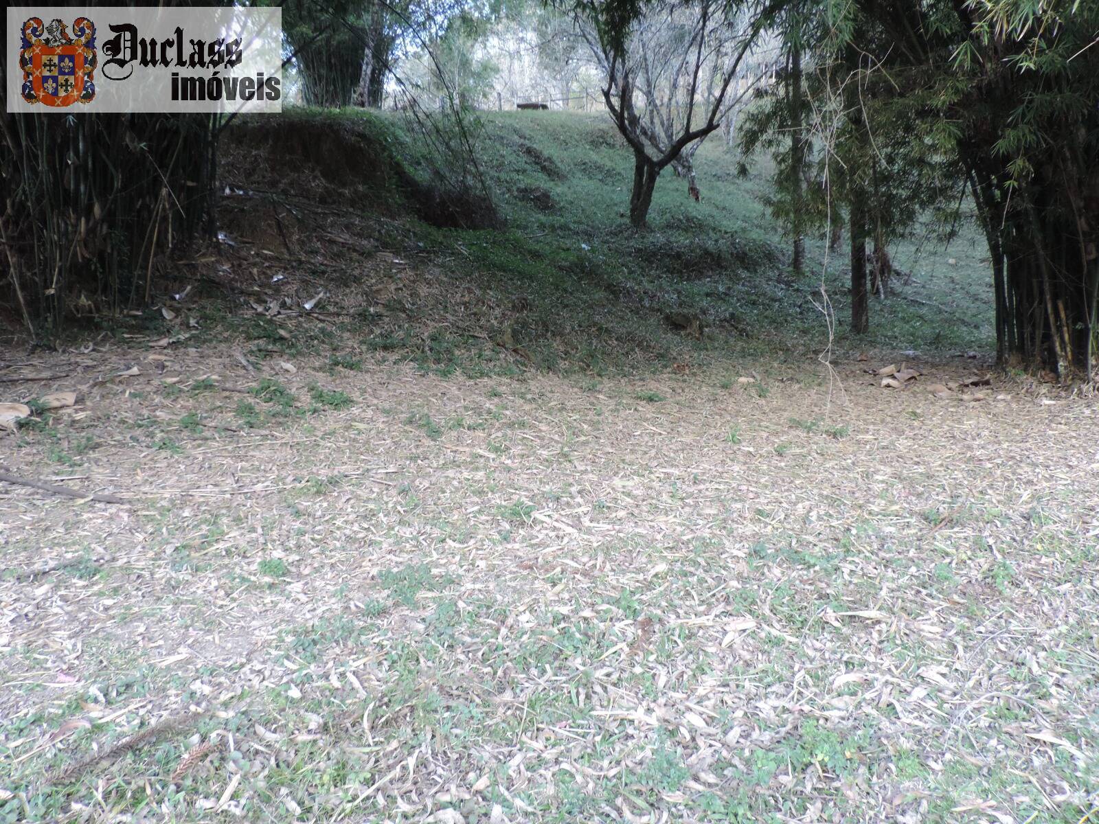 Sítio, 2 quartos, 100 m² - Foto 5