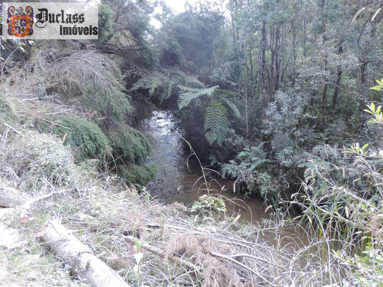 Sítio, 2 quartos, 100 m² - Foto 7