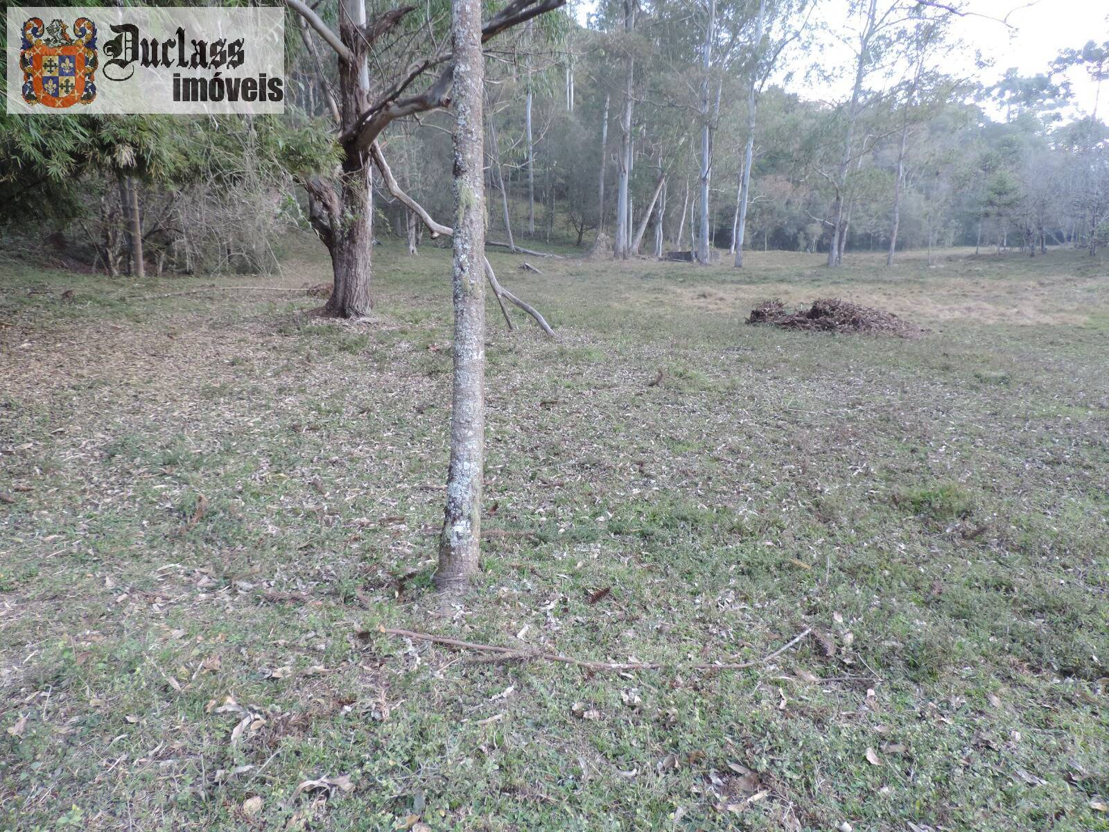 Sítio, 2 quartos, 100 m² - Foto 11