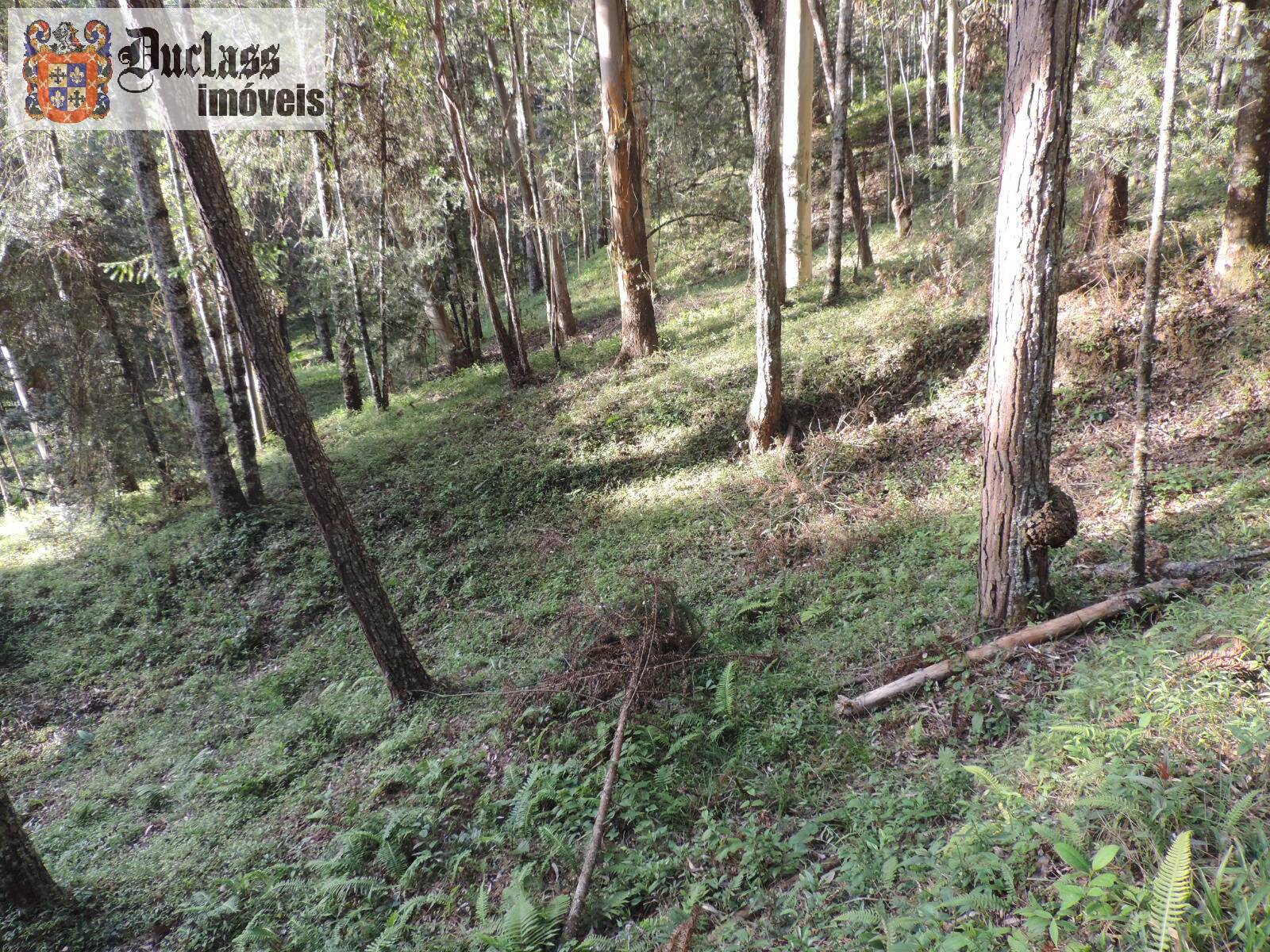 Sítio, 2 quartos, 100 m² - Foto 12