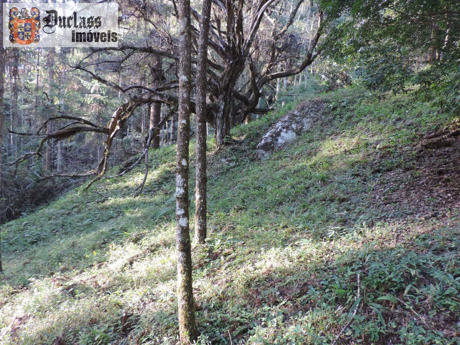 Sítio, 2 quartos, 100 m² - Foto 15