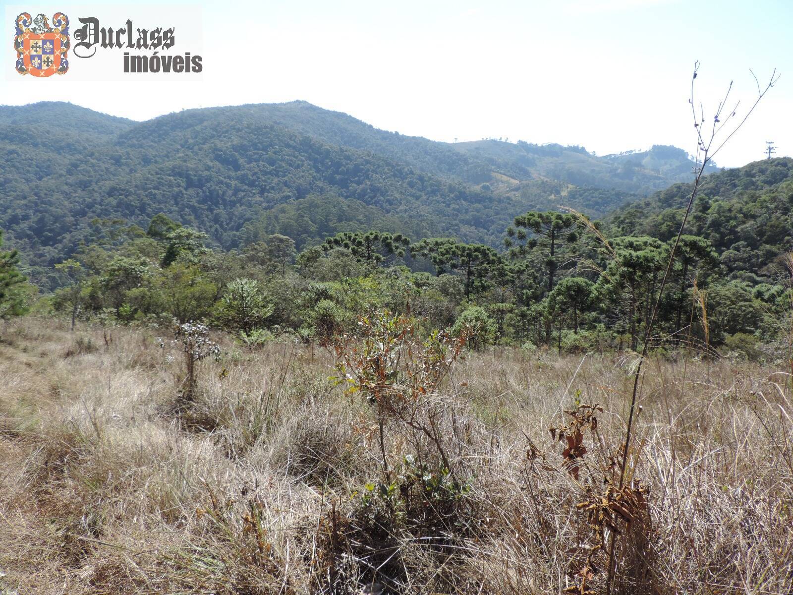 Sítio, 2 quartos, 100 m² - Foto 16