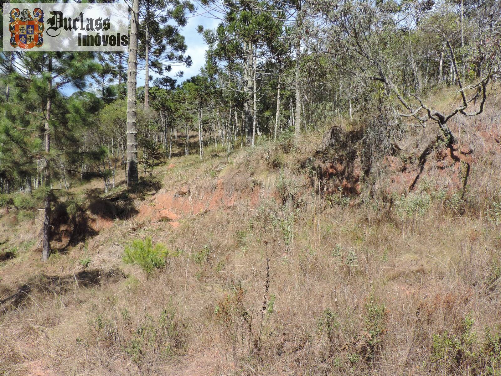 Sítio, 2 quartos, 100 m² - Foto 18