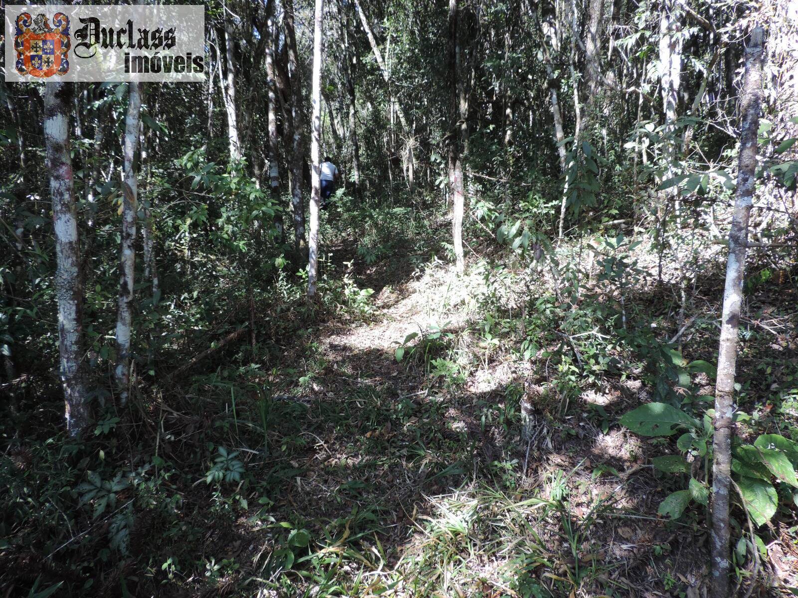 Sítio, 2 quartos, 100 m² - Foto 20