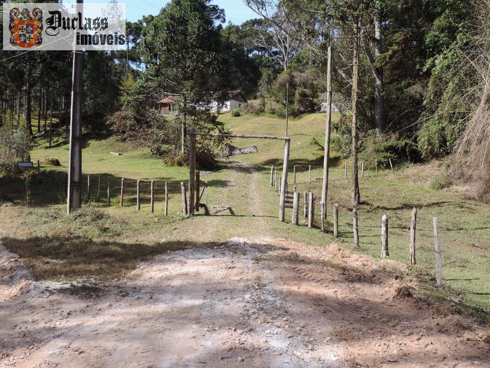 Sítio, 2 quartos, 100 m² - Foto 21