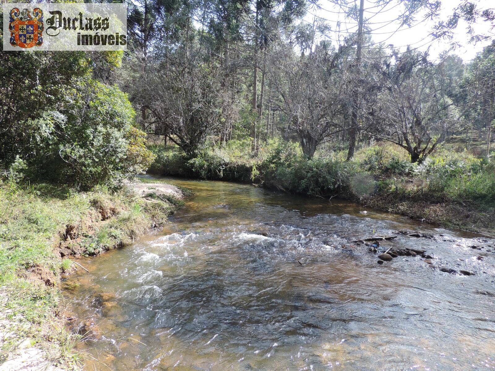 Sítio, 2 quartos, 100 m² - Foto 22