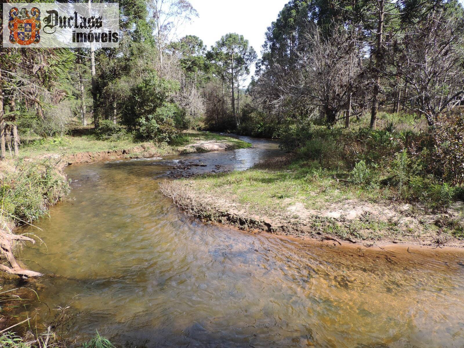 Sítio, 2 quartos, 100 m² - Foto 23