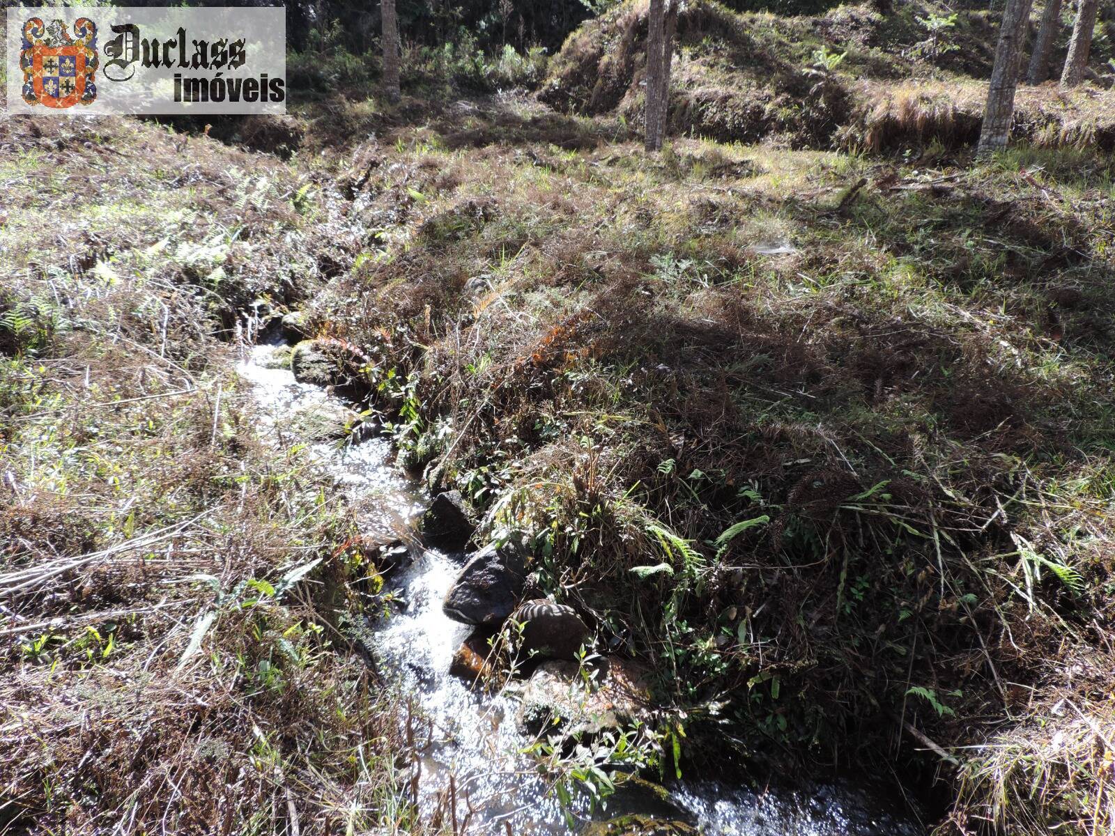 Sítio, 2 quartos, 100 m² - Foto 26